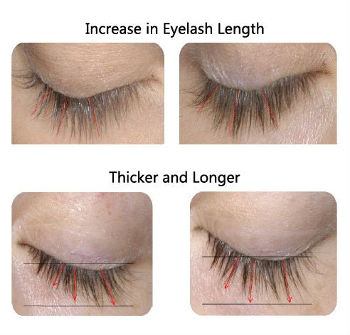 QBEKA mỹ phẩm Chất chiết xuất thảo dược Organic Vitamin E Peptide Eyelash Brow Growth Serum 5ml 0