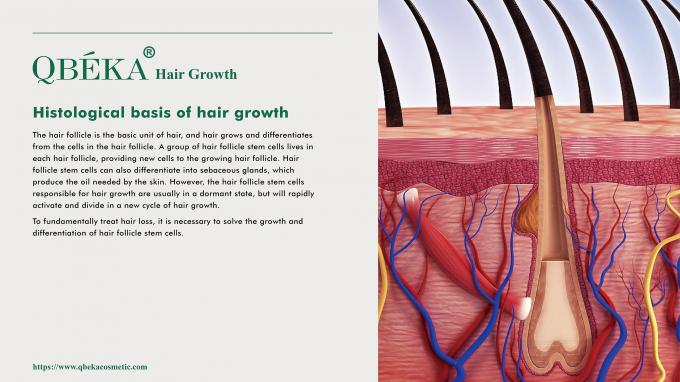 GMPC Shampoo tiêu chuẩn phòng ngừa rụng tóc để điều trị rụng tóc và mỏng tóc 80m 1