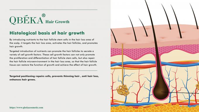 GMPC Shampoo tiêu chuẩn phòng ngừa rụng tóc để điều trị rụng tóc và mỏng tóc 80m 2