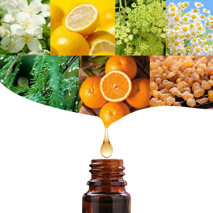 Nhà làm cho phụ nữ ngực lớn hơn với bán hàng cao ngực mở rộng tinh dầu 10ml 2