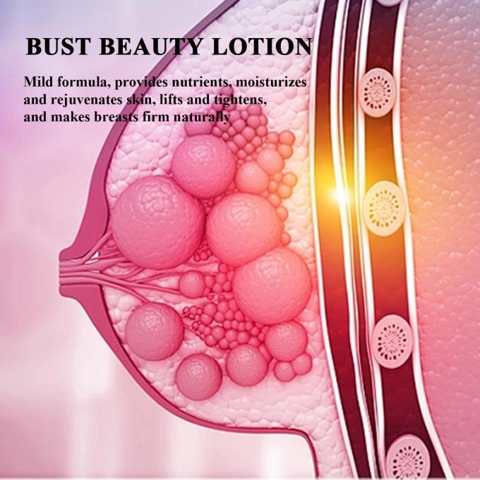 Lotion nâng ngực Bust Up Big Boobs Care Cream OEM/ODM chấp nhận tùy chỉnh 5