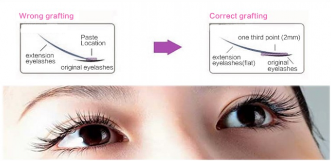 10mm-15mm Natural Long False Eyelashes 5 cặp Long tóc màu tổng hợp 7